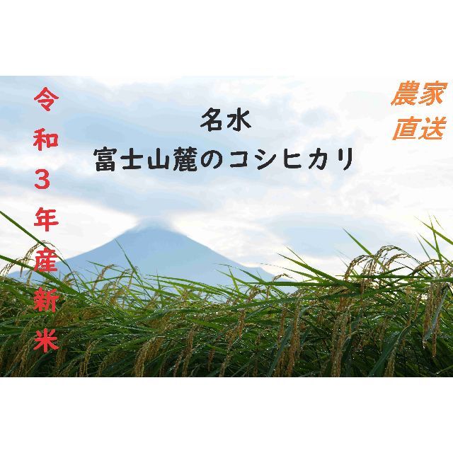 新米　令和3年　富士山コシヒカリ　単一原料米　農家直送 10kg 食品/飲料/酒の食品(米/穀物)の商品写真