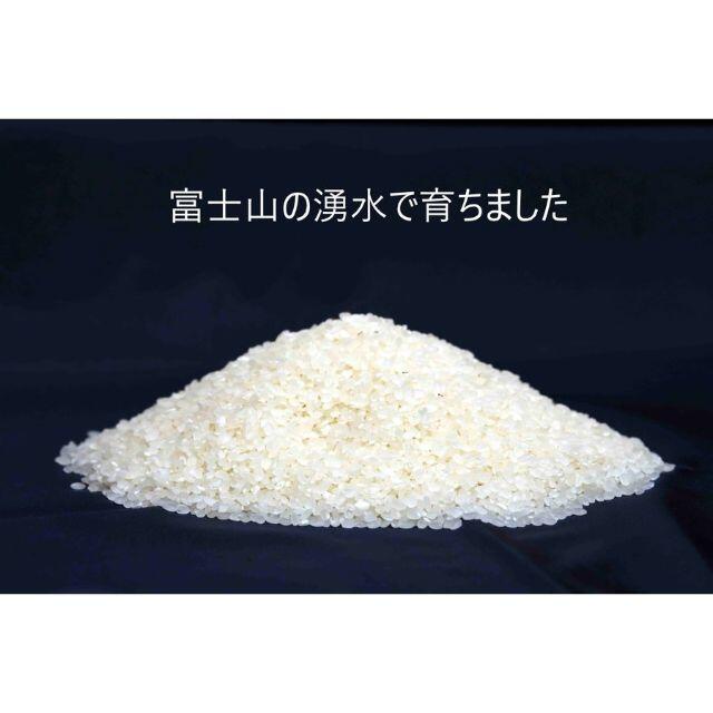 新米　単一原料米　米/穀物　令和3年　10kg　富士山コシヒカリ　農家直送