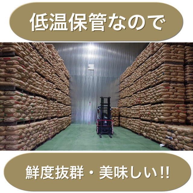 【送料無料】近江のお米　20kg（10kg×2本） 4