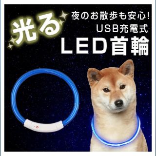 犬 首輪 光る 猫 USB充電式 LED 小型犬 中型犬 大型犬(リード/首輪)