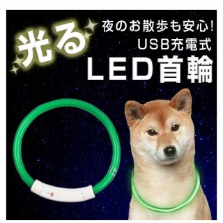 犬 首輪 光る 猫 USB充電式 LED 小型犬 中型犬 大型犬(リード/首輪)