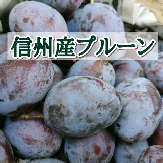 信州産プルーン 1kg 【訳あり】宅急便コンパクト 生プルーン(フルーツ)