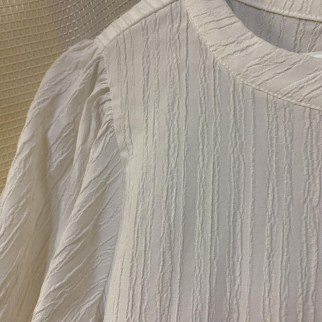 GRL(グレイル)のシャツ　ブラウス レディースのトップス(シャツ/ブラウス(半袖/袖なし))の商品写真