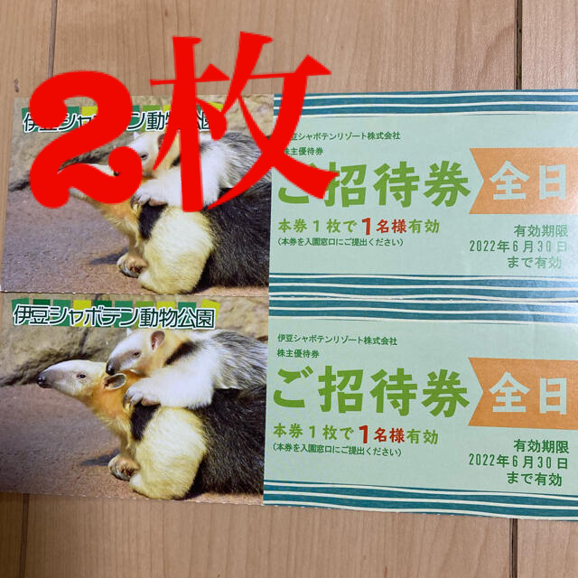 伊豆シャボテンリゾート　シャボテン動物公園　全日券2枚　シャボテン公園 チケットの施設利用券(動物園)の商品写真