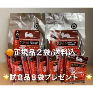 《応援価格❗️》フェレットセレクションプロ パフォーマンス1kg正規品×2袋(小動物)