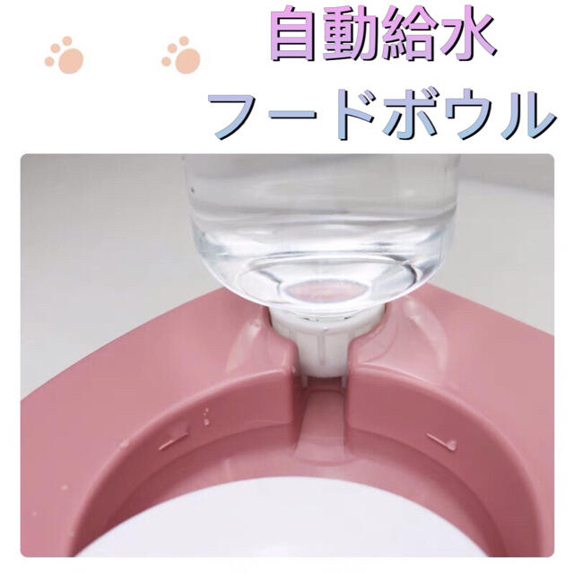 【3点セット】肉球型ペットボウル　ペット用食器 おやつ餌入れ  猫耳オシャレ餌皿 その他のペット用品(猫)の商品写真