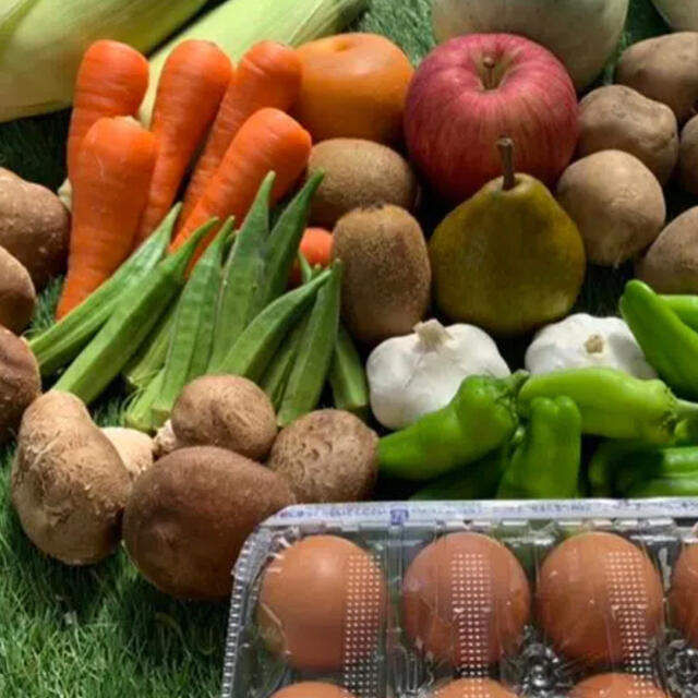 ★60サイズ★ 無農薬新鮮野菜果物セット 10種類セット 食品/飲料/酒の食品(野菜)の商品写真