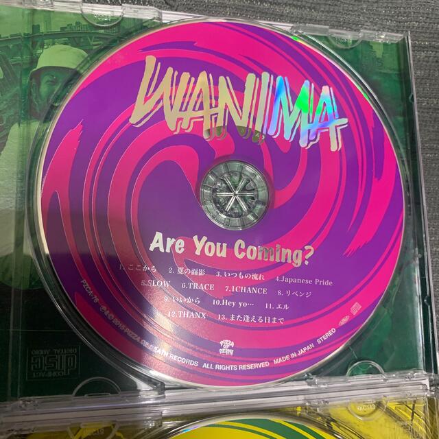 WANIMA アルバム セット売り