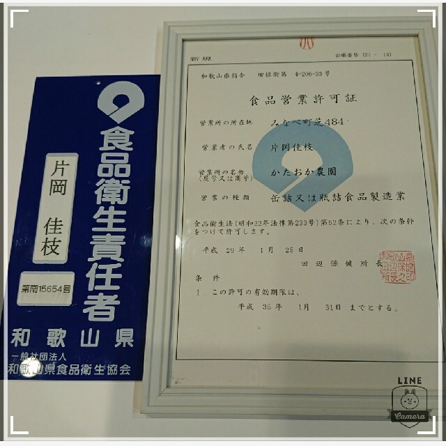 本場紀州南高梅 みなべ町産キズありつぶれ☆完熟白干し梅 10kg 食品/飲料/酒の加工食品(漬物)の商品写真