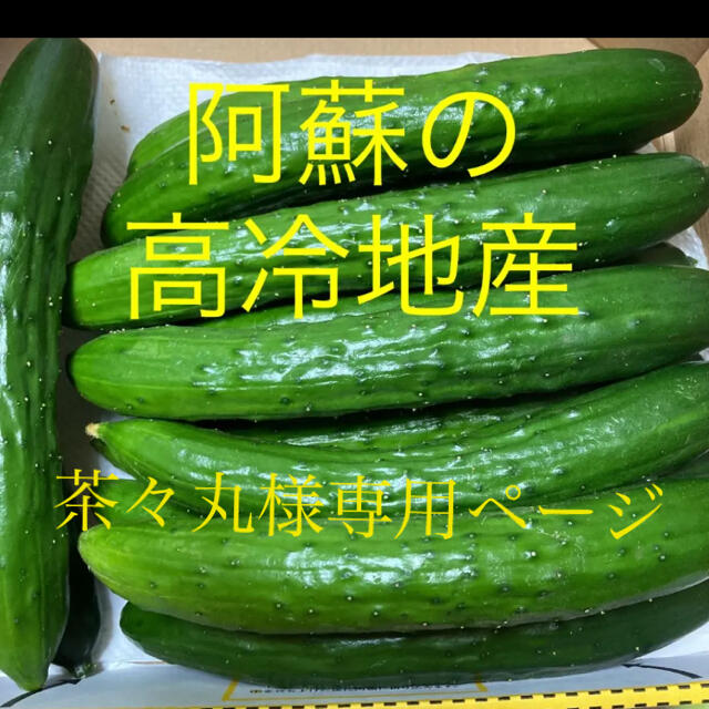 阿蘇のきゅうり　茶々丸様専用ページ　宅配便コンパクト1.５kg 食品/飲料/酒の食品(野菜)の商品写真