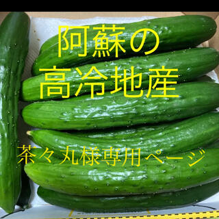 阿蘇のきゅうり　茶々丸様専用ページ　宅配便コンパクト1.５kg(野菜)