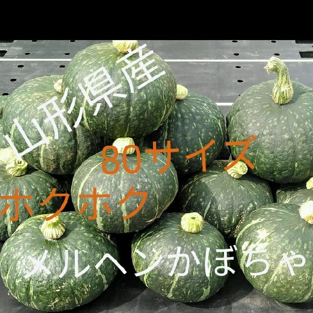 山形県産　ホクホク栗系メルヘンかぼちゃ 食品/飲料/酒の食品(野菜)の商品写真