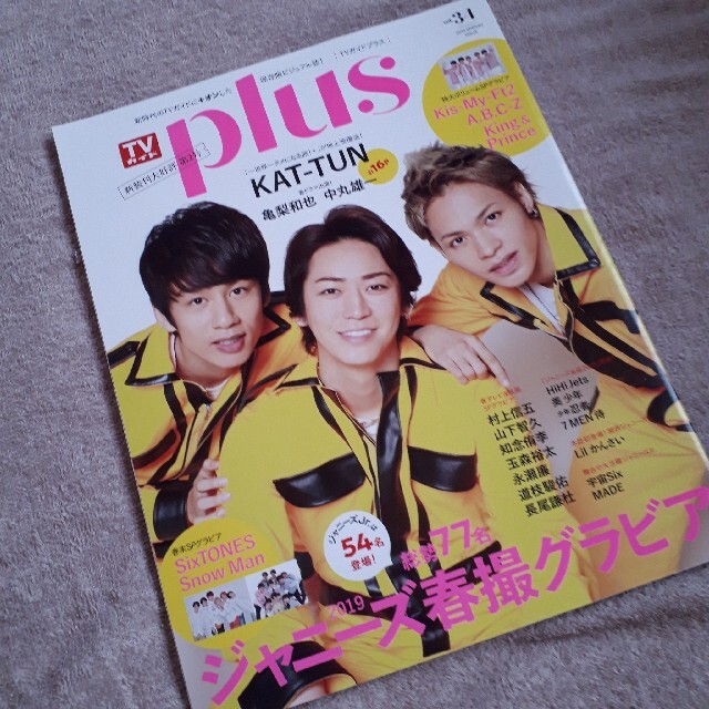 Johnny's(ジャニーズ)のTVガイドplus vol.34 2019年  エンタメ/ホビーの雑誌(音楽/芸能)の商品写真