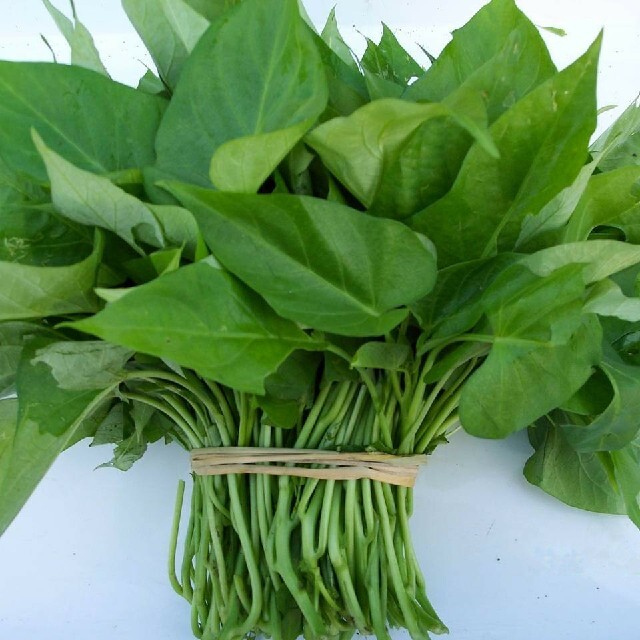 サツマイモつる 1KG 茎 葉っぱ 食品/飲料/酒の食品(野菜)の商品写真