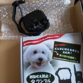 50%OFF ワンブル Wanbull 無駄吠え 犬用品 - www.softwareskills.eu