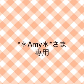 マスク(THE MASK)の*＊Amy＊*さま 専用(その他)