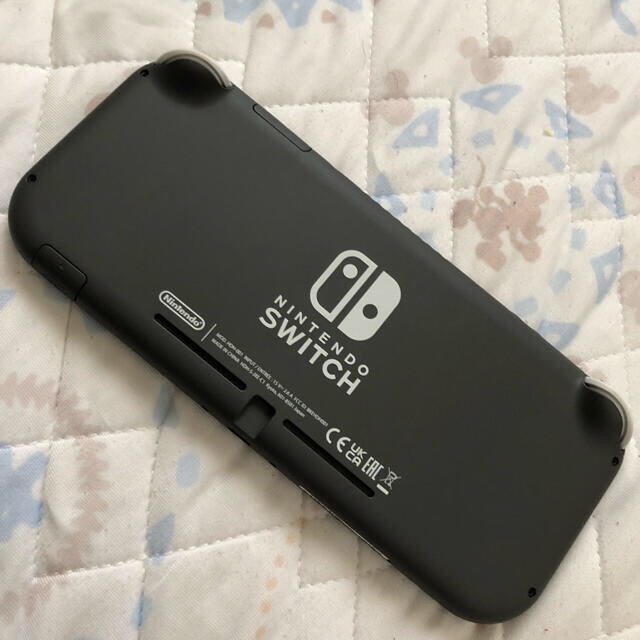 Nintendo Switch Liteグレー ＋128GBメモリースティック