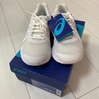 アシックス(asics)のアシックス  スニーカー通学靴　男女兼用　24.5cm(スニーカー)