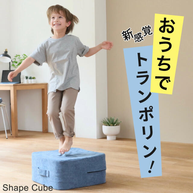 【新品・未開封】シェイプキューブ shapecubeシェイプキューブ