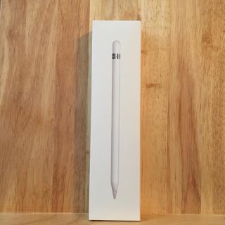 アップル(Apple)のapple pencil 使用不可　本体、箱、説明書付属【撮影小物などに】(PC周辺機器)