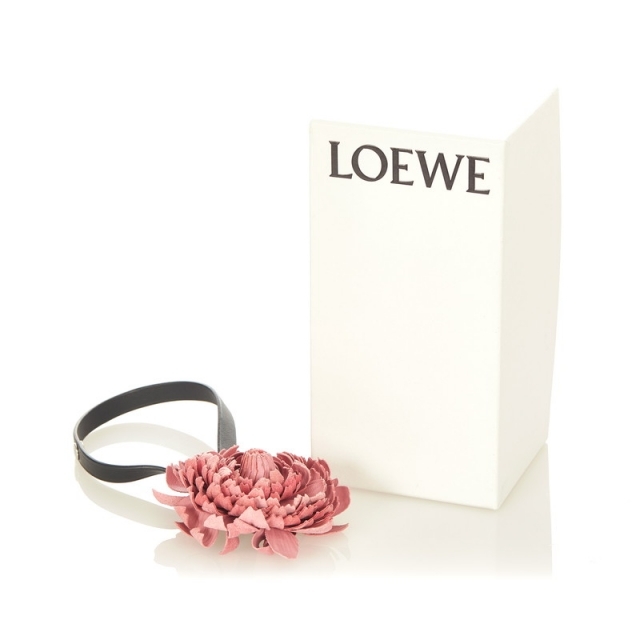 LOEWE(ロエベ)のロエベ その他小物 レディース 美品 レディースのファッション小物(その他)の商品写真