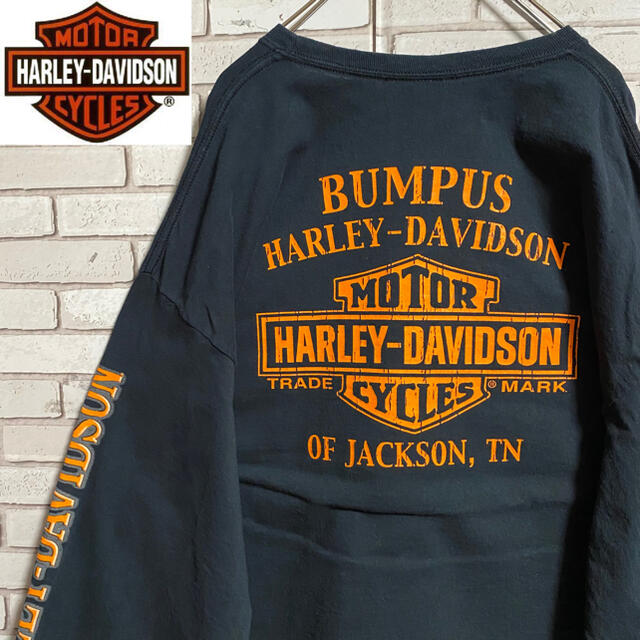 Harley Davidson(ハーレーダビッドソン)の90s 古着 ハーレーダビッドソン 3XL バックプリント ビッグシルエット メンズのトップス(Tシャツ/カットソー(七分/長袖))の商品写真