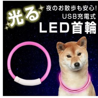 mini　mini様専用犬 首輪 光る 猫 USB充電式 LED(その他)