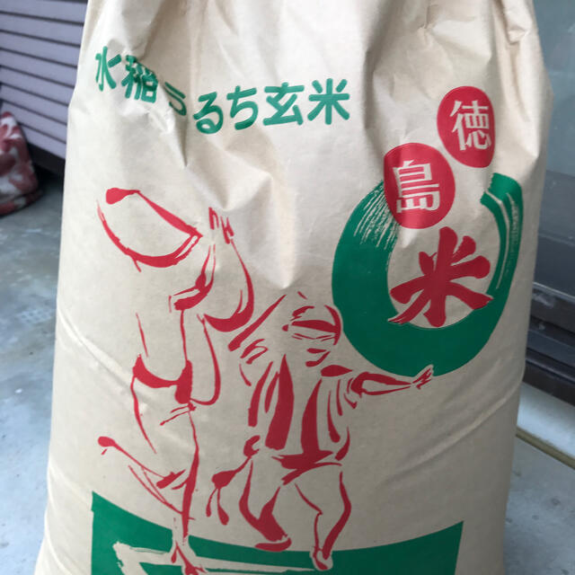令和3年度 徳島産 新米こしひかり 玄米25キロ