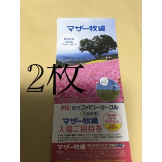 マザー牧場 入場　ご招待券2枚 ゆうパケットで発送❗️(その他)