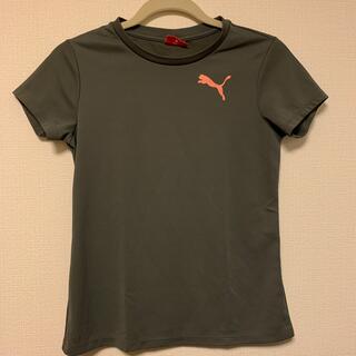 プーマ(PUMA)のPUMA  スポーツウェア　半袖　Tシャツ　Mサイズ(Tシャツ(半袖/袖なし))