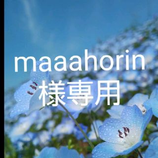 maaahorin様専用(その他)