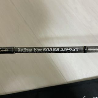 MCワークス ノーザンブルー603SS | www.jarussi.com.br