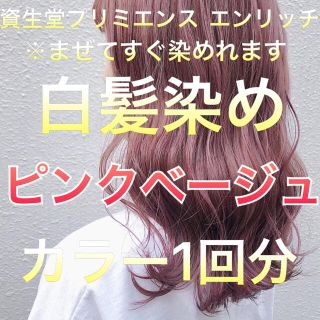 シセイドウ(SHISEIDO (資生堂))の美容室の白髪染め ピンクベージュ 1回分 (白髪染め)