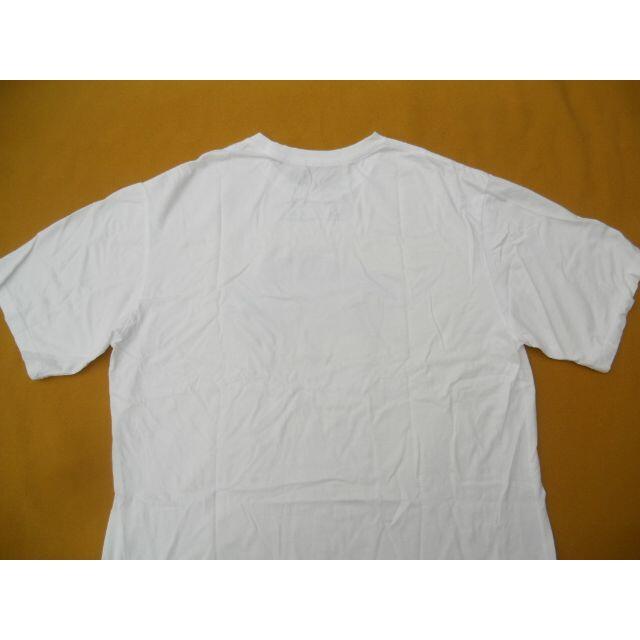 パタゴニア Organic T-Shirt BFG WTBI 2021