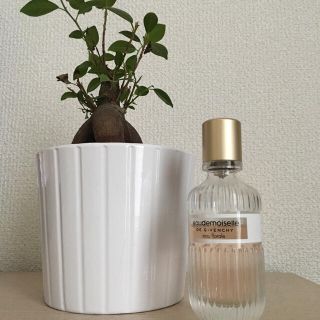 ジバンシィ(GIVENCHY)のGIVENCHY オードモアゼル(香水(女性用))