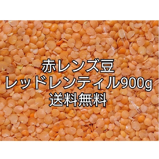 レッドレンティル900g/Red Lentil・赤レンズ豆・乾燥豆 食品/飲料/酒の食品(米/穀物)の商品写真