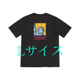 シュプリーム(Supreme)のThe North Face Statue of Liberty Tee L(Tシャツ/カットソー(半袖/袖なし))