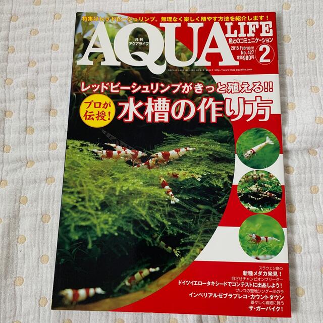 【癒しのビーチ様専用】月刊 AQUA LIFE 2冊 エンタメ/ホビーの雑誌(趣味/スポーツ)の商品写真