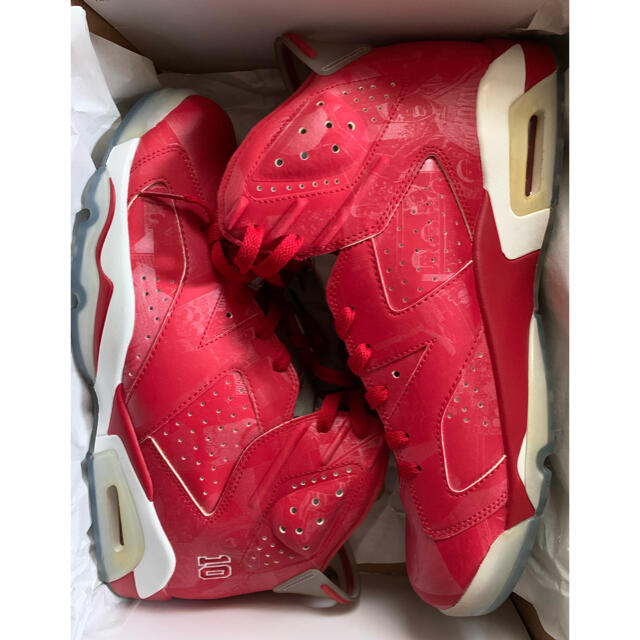 NIKE AIR JORDAN 6 SLAM DUNK【希少30cm】