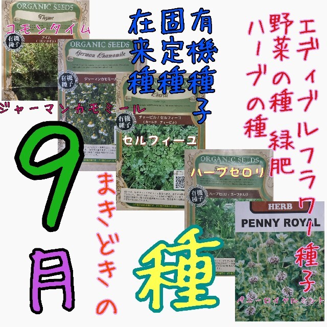 9月まきどきの種 固定種 在来種 有機種子 野菜の種 ハーブの種 緑肥 種子 種 食品/飲料/酒の食品(野菜)の商品写真