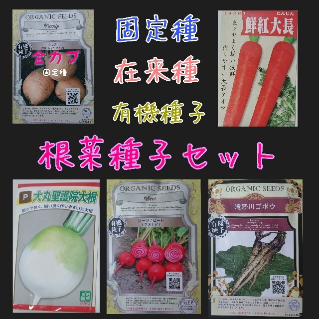 根菜種子セット 固定種 在来種 有機種子 野菜の種 家庭菜園 種子 種 食品/飲料/酒の食品(野菜)の商品写真