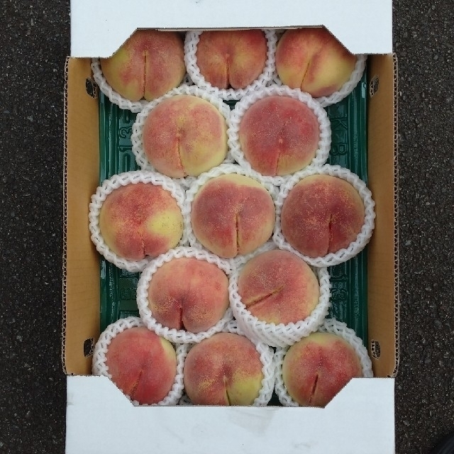 桃 果物 山梨県 食品/飲料/酒の食品(フルーツ)の商品写真