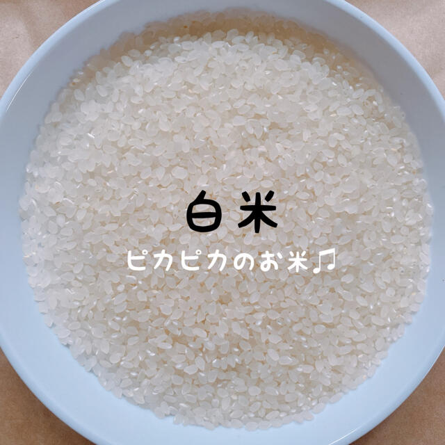令和3年 新米 特別栽培米 玄米20kg 減農薬 有機肥料100% コシヒカリ 令和3年 新米 特別栽培米 玄米20kg 減農薬 有機肥料100% コシヒカリ