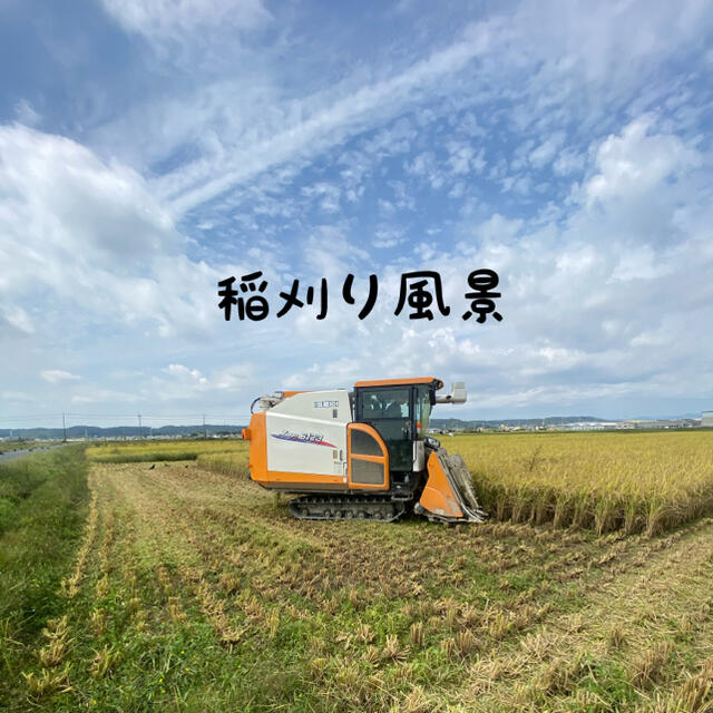 令和3年 新米 特別栽培米 玄米20kg 減農薬 有機肥料100% コシヒカリ 令和3年 新米 特別栽培米 玄米20kg 減農薬 有機肥料100% コシヒカリ