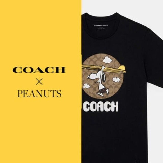 【日本限定完売品】COACH 　スヌーピー　Tシャツ　Mサイズ | フリマアプリ ラクマ