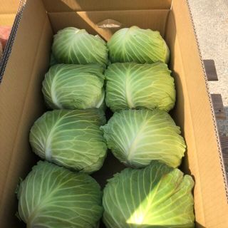 ちか様専用(野菜)