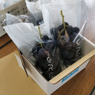 まいちゃん様専用茨城県産巨峰ブドウ3キロ　葡萄　ぶどう　説明を必ずお読み下さい(フルーツ)
