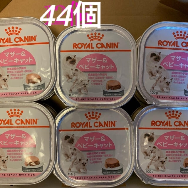 ロイヤルカナン マザー&ベビーキャット猫用100g×44個ウルトラ ソフトムース