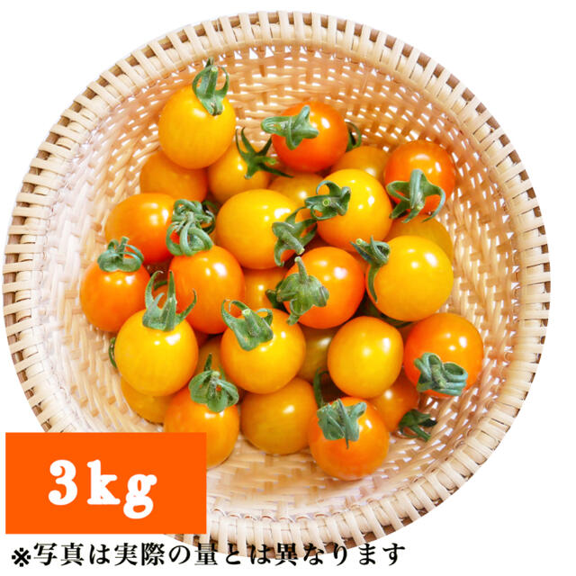 ミニトマト 3kg  [農学博士のDr.トマト] 採れたて☘️産地直送いたします 食品/飲料/酒の食品(野菜)の商品写真