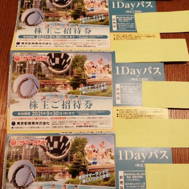 サマーランド1DAY パス3枚